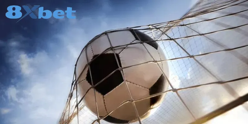 Lý do kèo cược rung trở nên phổ biến