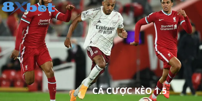 Cách đọc và kinh nghiệm soi kèo 1.5 tại 8xbet Kinh nghiệm soi kèo 1.5 hiệu quả tại 8XBETVN