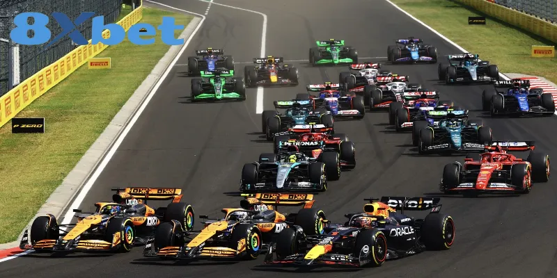 Các Sự Kiện Thể Thao Lớn Được 8XBET Tài Trợ Chính Thức Các sự kiện thể thao lớn được 8XBET tài trợ hiện nay